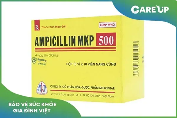 Ampicillin MKP 500 là gì? Công dụng, liều dùng, lưu ý khi sử dụng