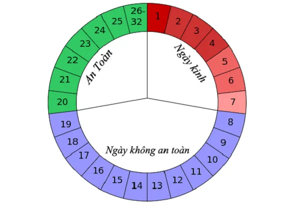 Cách tính ngày rụng trứng các chị em có thể chưa biết