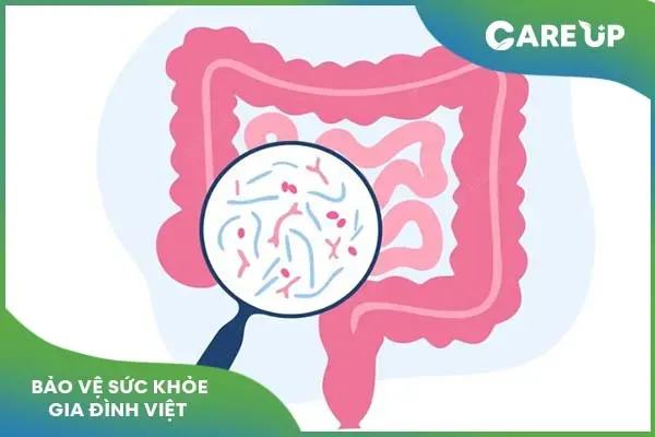 Công dụng của thuốc Normagut và lưu ý sử dụng