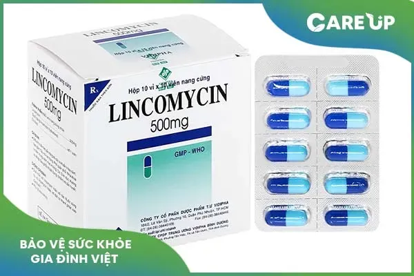 Điều trị nhiễm khuẩn bằng Lincomycin: Những lưu ý quan trọng