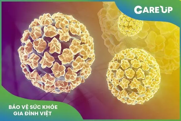 Lưu ý khi dùng gel đặt âm đạo Papilocare hỗ trợ đào thải virus HPV