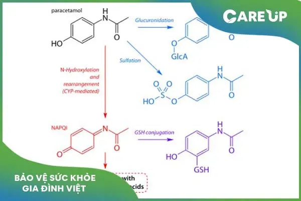 Tác dụng của Ameflu trong điều trị cảm cúm và các bệnh liên quan