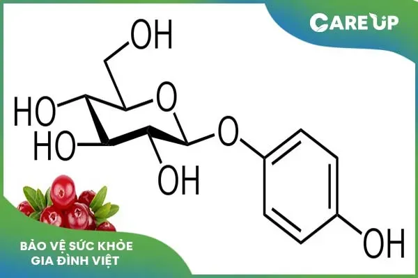 Tác dụng của arbutin trong chăm sóc da