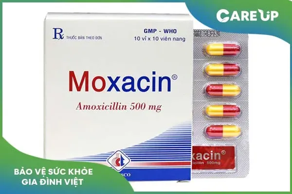 Tác dụng của Moxacin và cách sử dụng hiệu quả