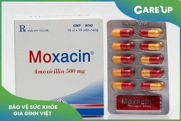 Tác dụng của Moxacin và cách sử dụng hiệu quả