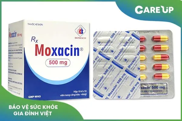 Tác dụng của Moxacin và cách sử dụng hiệu quả