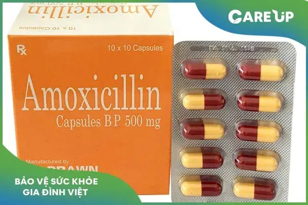 Tìm hiểu về thuốc amoxicillin 500mg