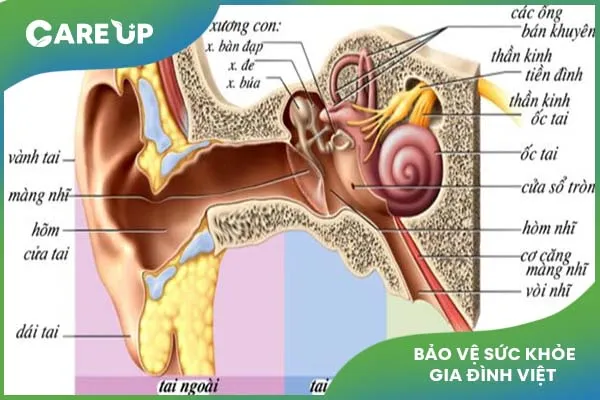 Cách chữa viêm tai giữa ở trẻ em chuẩn xác