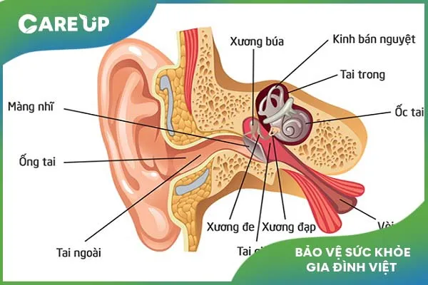 Giải đáp: Bệnh viêm tai giữa thanh dịch ở trẻ nhỏ