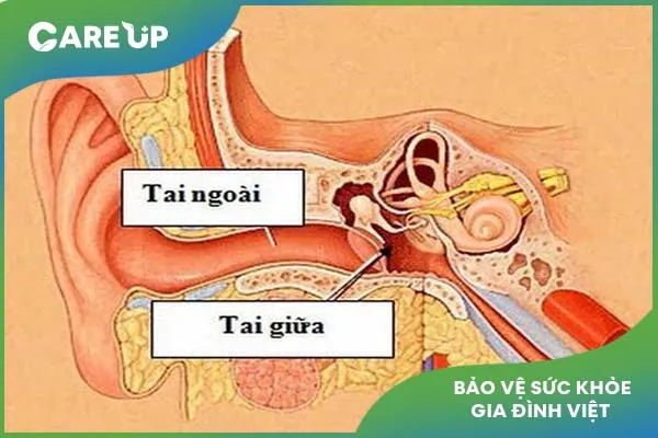 Giải đáp bệnh viêm tai ngoài ở trẻ khác gì với viêm tai giữa