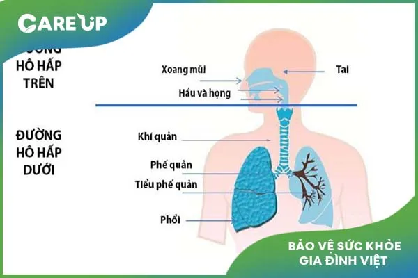 Giải đáp nguyên nhân trẻ bị viêm đường hô hấp trên