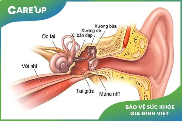 Viêm tai giữa ở trẻ em: Cách điều trị và phòng tránh