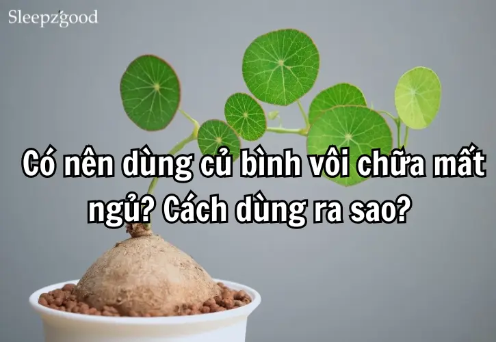 Có nên dùng củ bình vôi chữa mất ngủ Cách dùng ra sao