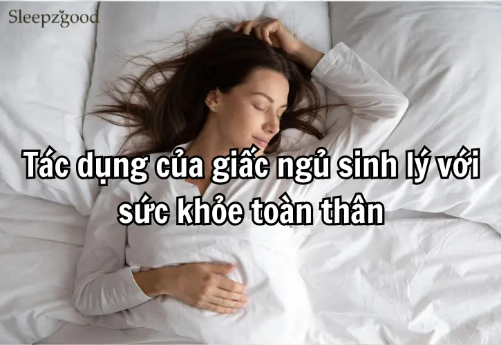 Tác dụng của giấc ngủ sinh lý với sức khỏe toàn thân