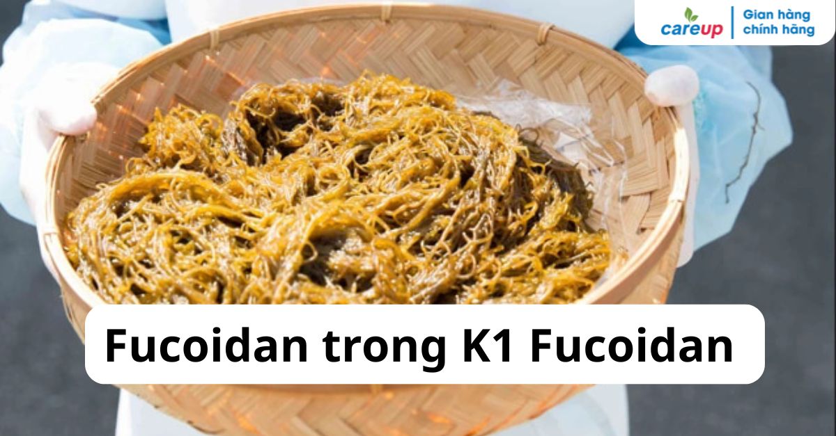 Fucoidan trong K1 Fucoidan: Nguồn gốc, hàm lượng và vai trò hỗ trợ sức khỏe